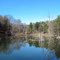 Beaver Pond