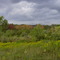 Hardscrabble Road