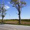 Centrtal New York countryside