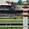 View of the Judge's Stand from the backstretch