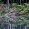 Yaddo Garden (Saratoga Springs, NY)
