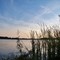 Braddock Bay