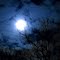 Cotton Candy Moon