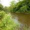 Ouleout Creek,  Franklin, NY