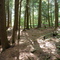St. Innocent's Retreat,  Franklin, NY