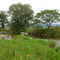 Ouleout Creek,  Franklin, NY