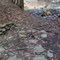 FLT M21 12.2 mi - Rose Hollow Bivouac, rock fire ring, rock seat