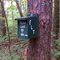FLT M22 11.1 mi - Register near south junction of Link Trail