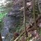 FLT M22 Chippewa Falls Trail 1.5 mi - Chippewa Falls