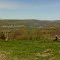 FLT O1 2.1 mi - View to north from Midlum Spur Rd