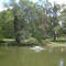 Audrey Hochberg Pond Preserve