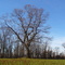 Rockefeller Park in Westchester County, NY