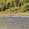 Rapids
