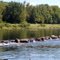 Delaware River