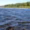 Delaware River