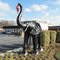 Xmas Jumbo Beltsville