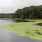 Cash Lake, Patuxent NWR