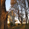 Old house, 31 Oct 2008