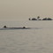 Bass Island from Vance Shores