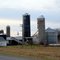 Dodge Farms Corn Harvest