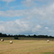 Bales of Hay