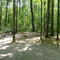 BlueBerryPatch Camp sit