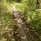 FLT I1 6.3 mi - Puncheons, mix of 6 2x6s & 4 2x6s, 132' long, 6x6 sills