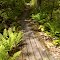 FLT I1 6.6 mi - Puncheons, 6 2x6s, 90' long, 6x6 sills