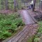 FLT I1 7.3 mi - Puncheon bridge, 2x6x48 deck, 15' long, 4x6 stringers, 2.5' to drainage, with 111' of puncheons in vicinity, 6 2x6s, 6x6 sills