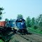 Westbound Boston and Maine Freight Train "AP3", with EMD GP40-2 No. 310 in the lead, at Schaghticoke, NY