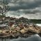 Stone Logging Pier and Remnant Capture Chain