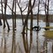 High water on Hudson River, Rogers Island