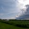 The Storm Cometh