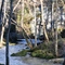 Little Miami River