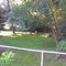 Our Backyard
