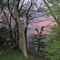 Willowick Sunset