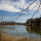 Wye Island on the East Shore
