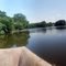 Wye Oak State Park, Centreville, MD