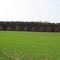 Spring Fields near Wye Island