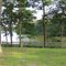 Wye Island Picnic Area