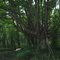Dillon State Park, Nashport, Ohio