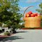 Apple basket