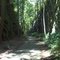 Blackhand Gorge, east of Newark, Ohio