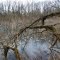 Blackhand Gorge State Nature Preserve, Licking River