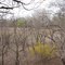 Martin Nature Park in early spring