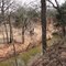 Martin Nature Park in early spring