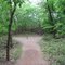 Martin Nature Park in April