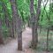 Martin Nature Park in April