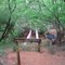 Martin Nature Park in April