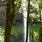 Silver Falls